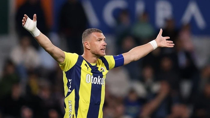 Dzeko Balik ke Italia, Gabung Fiorentina 